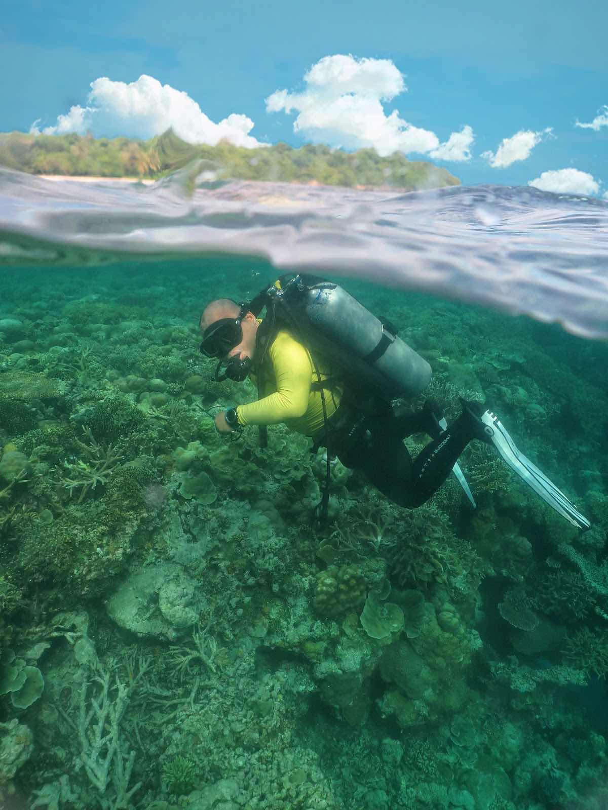 Wakatobi Dive Trip photo 1