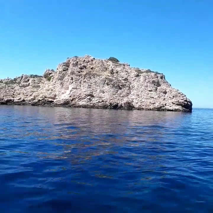 Vis Tours/ By Land & Sea photo 4