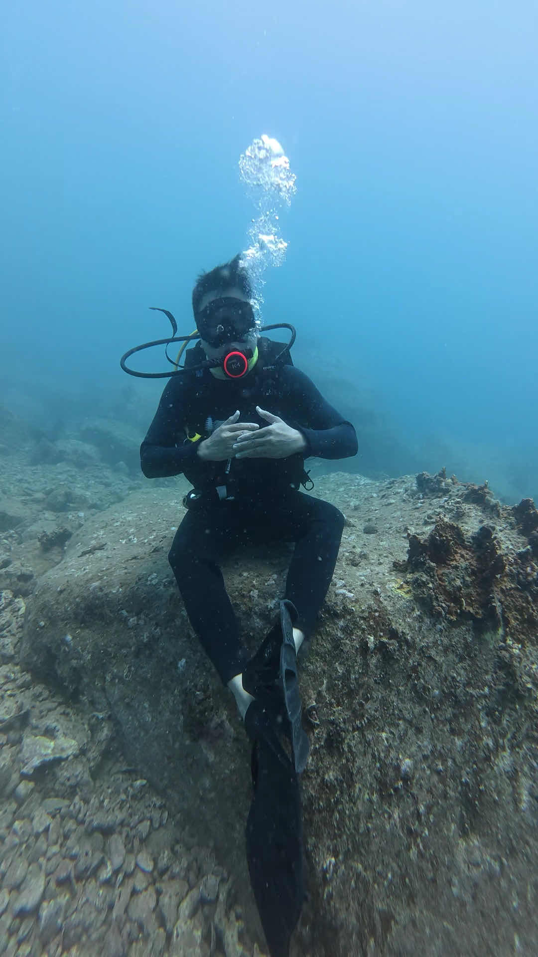 Rumblefish Vietnam PADI 5 Star IDC Center - Nha Trang photo 3