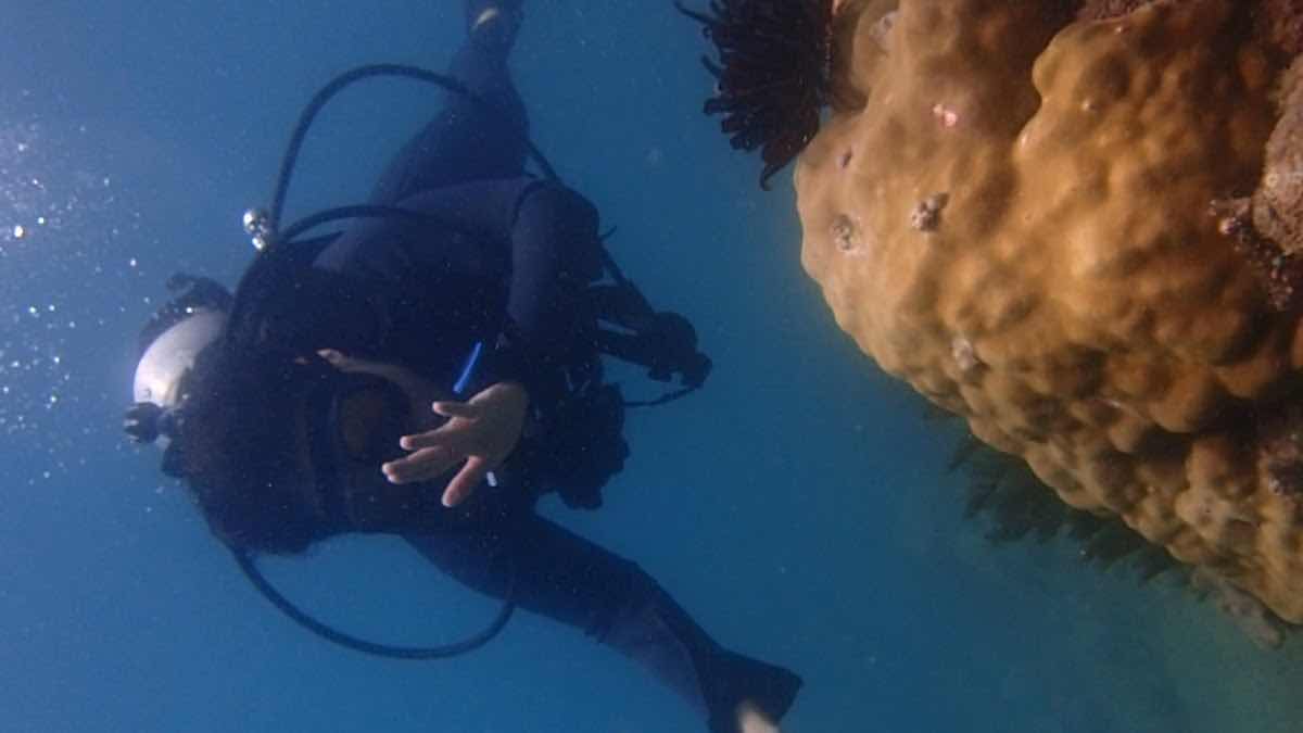 Rumblefish Vietnam PADI 5 Star IDC Center - Nha Trang photo 4
