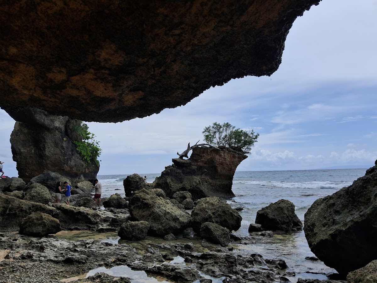 Dive Andaman photo 5