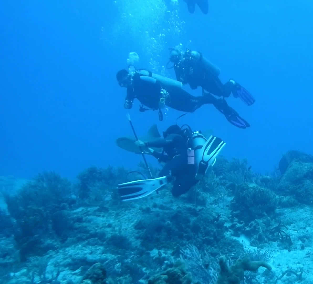 Scuba Life Cozumel photo 3