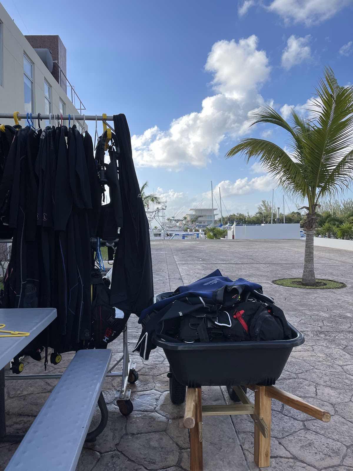 Scuba Life Cozumel photo 4