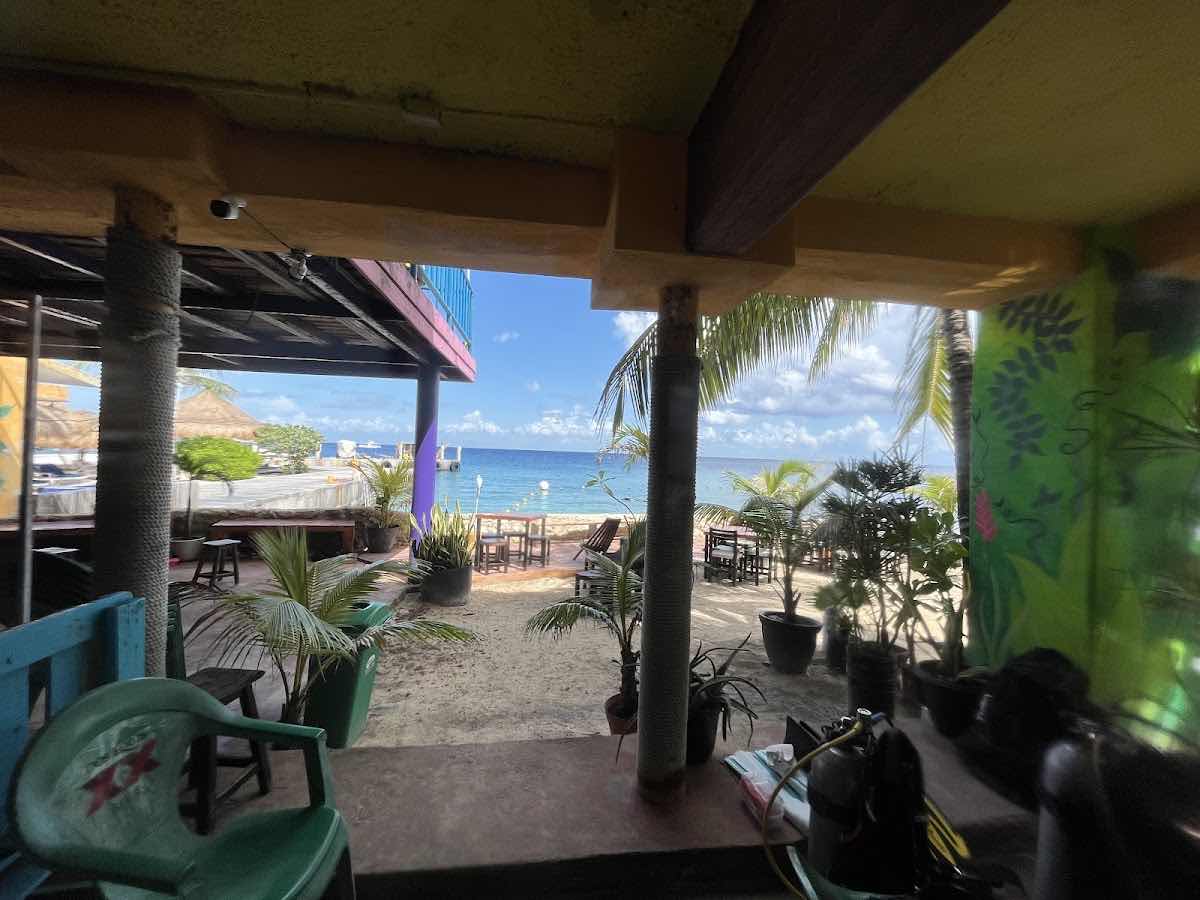Scuba Life Cozumel photo 8