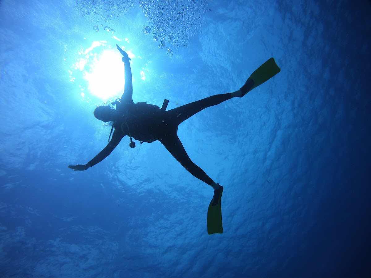 Scuba Life Cozumel photo 10