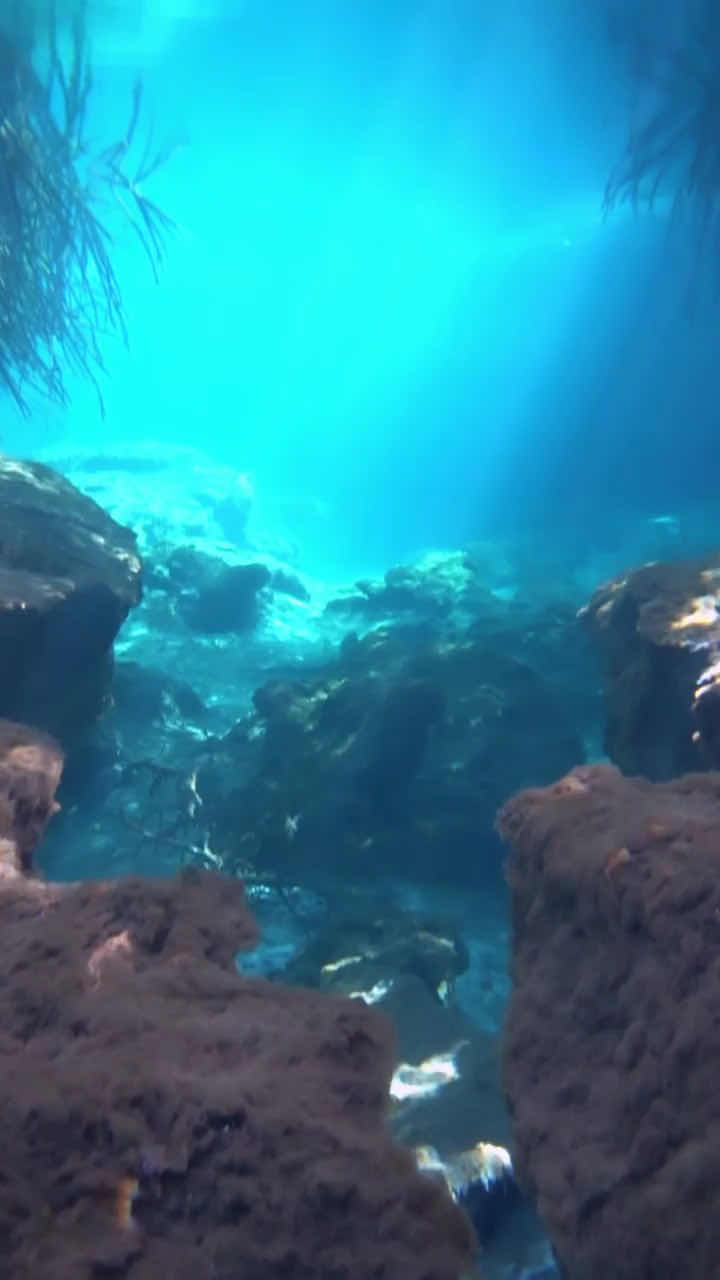 Black Marlin diving center photo 2