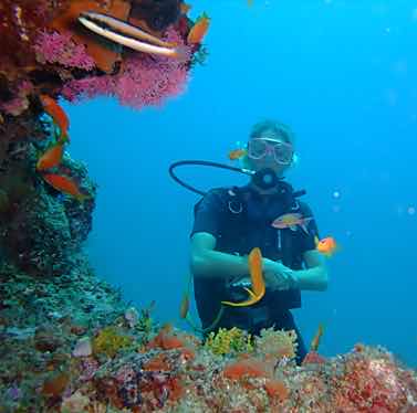 Black Marlin diving center photo 5