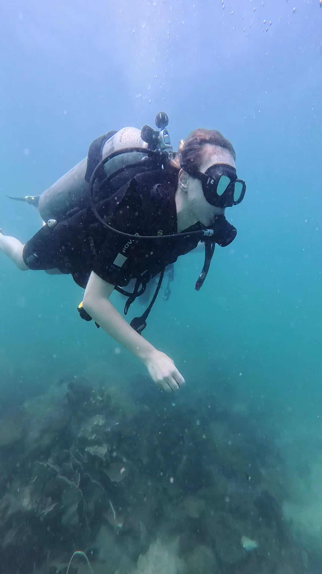 Vietnam VipDive photo 1