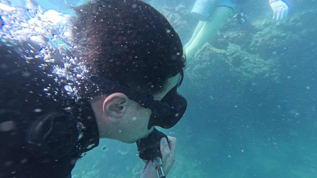 Vietnam VipDive photo 3