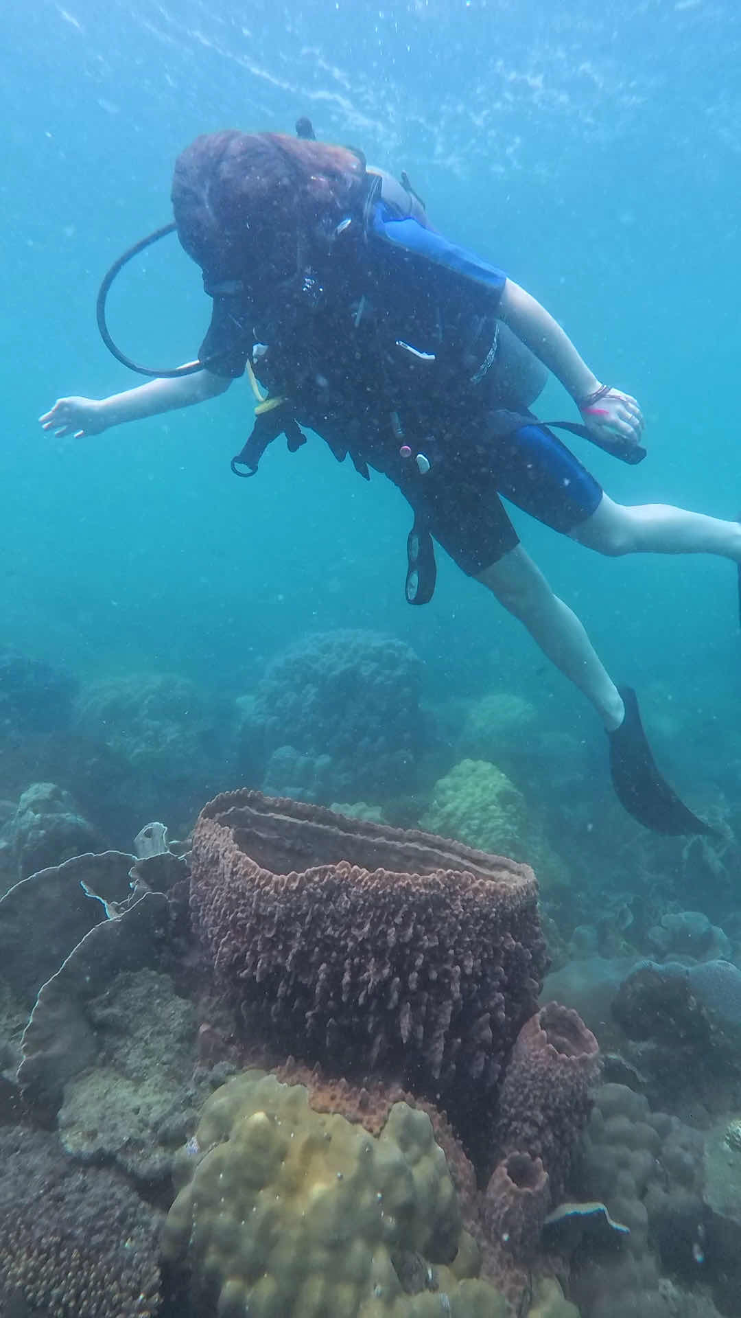 Vietnam VipDive photo 9
