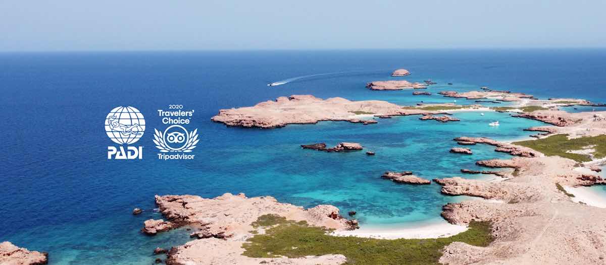 Pearl Dimaniyat Diving Center photo 8