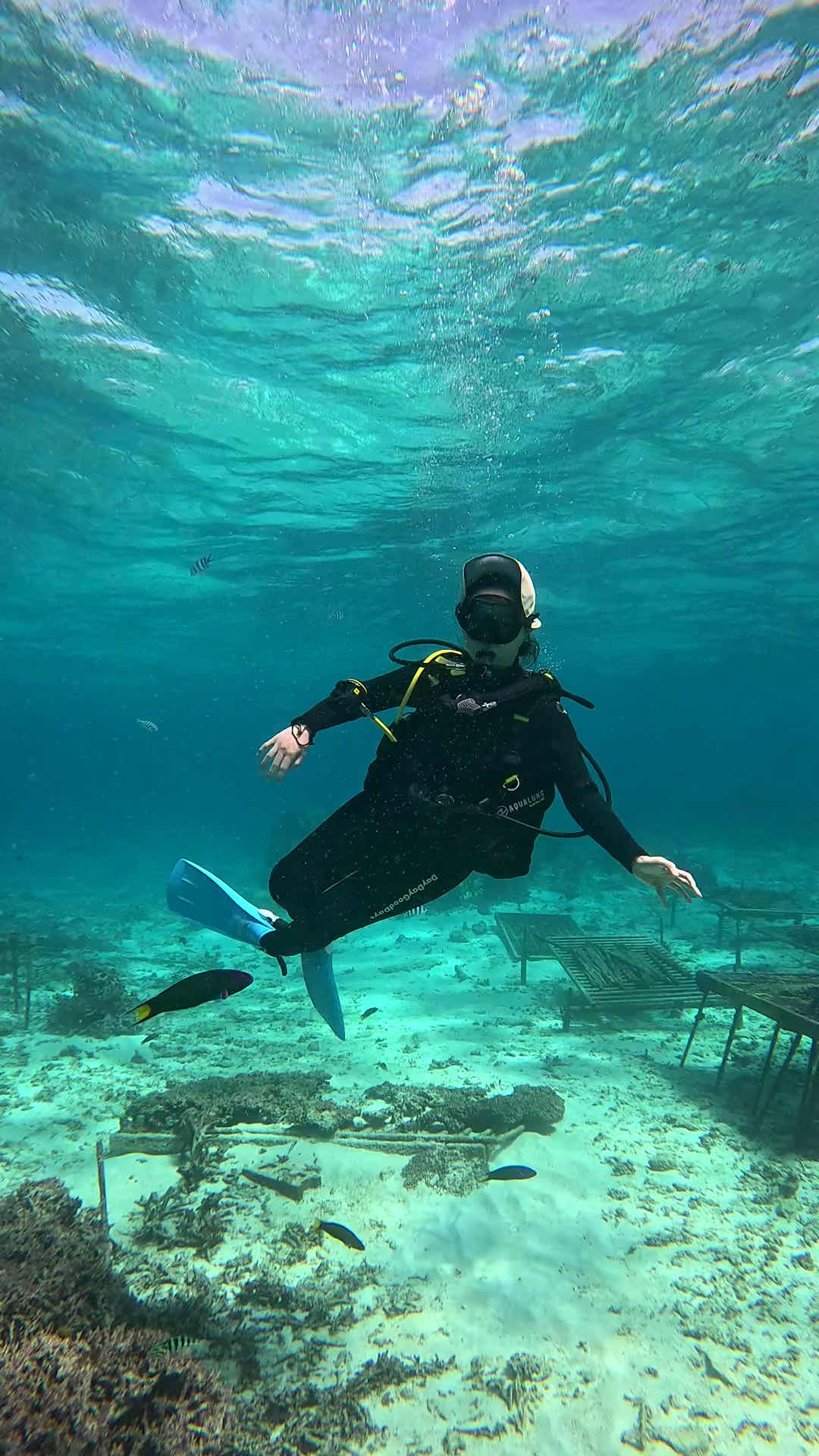 DayDayGoodDays Diving Club 沖繩廣東話潛水專門店 | Okinawa Diving Club photo 3