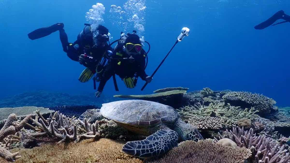 DayDayGoodDays Diving Club 沖繩廣東話潛水專門店 | Okinawa Diving Club photo 4