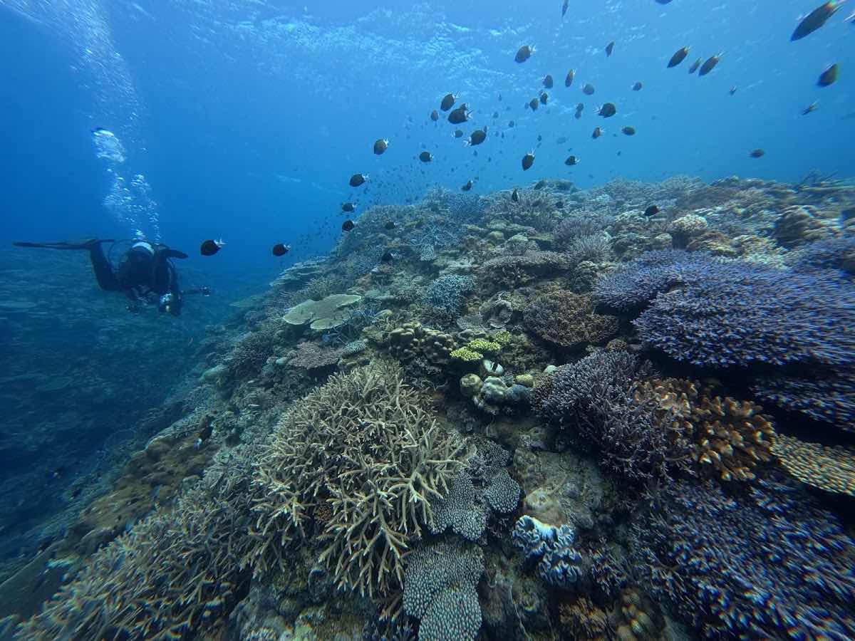 DayDayGoodDays Diving Club 沖繩廣東話潛水專門店 | Okinawa Diving Club photo 9