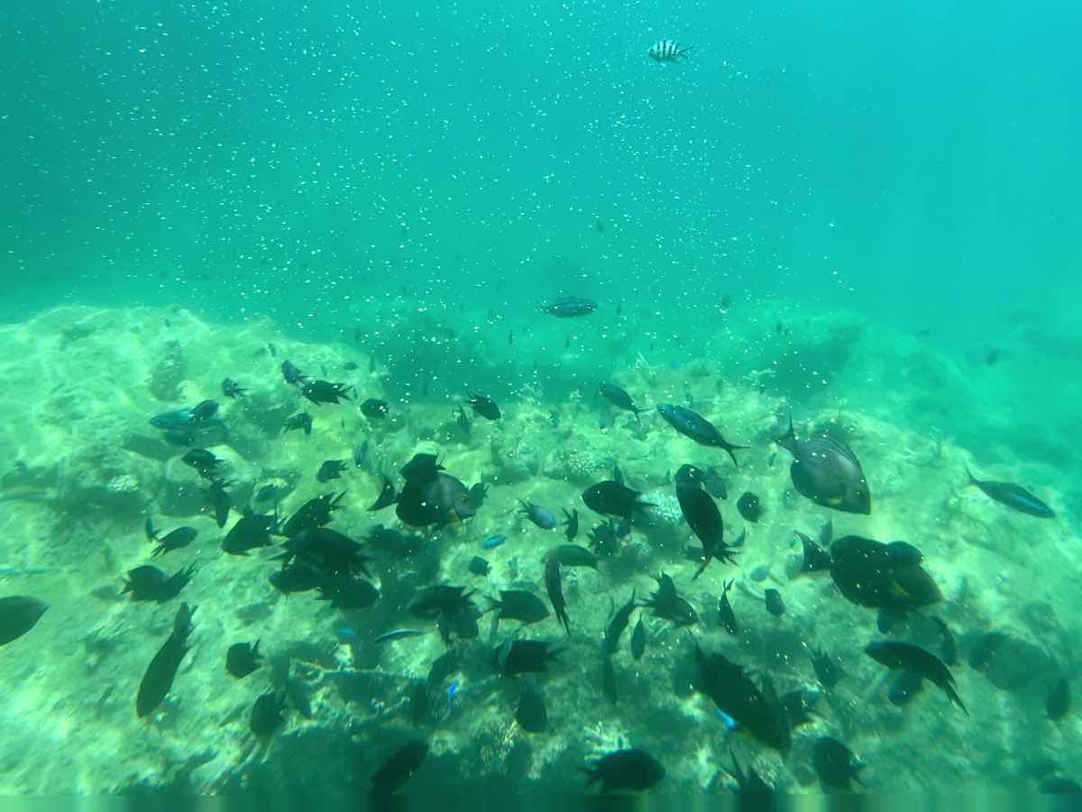 Watersports Port Vila photo 3