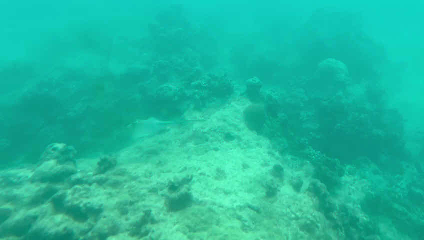 Watersports Port Vila photo 4