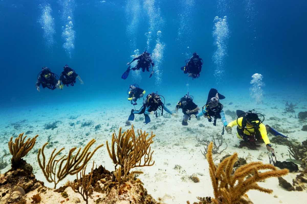 BEST DIVE COZUMEL MEXICO photo 8