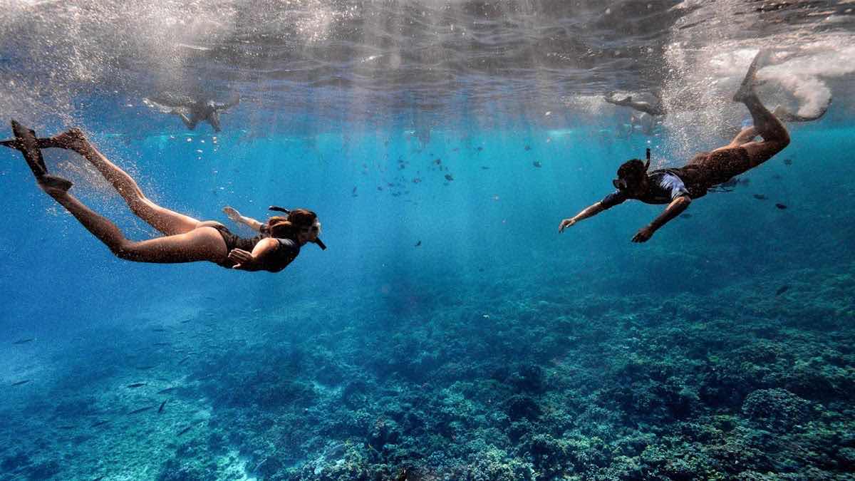 My Splash Maui - Sea Scooter Snorkeling Tour photo 4