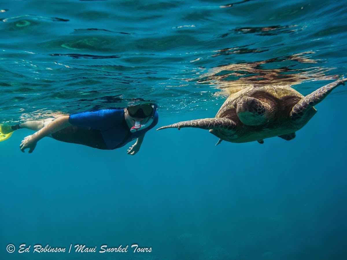 My Splash Maui - Sea Scooter Snorkeling Tour photo 5
