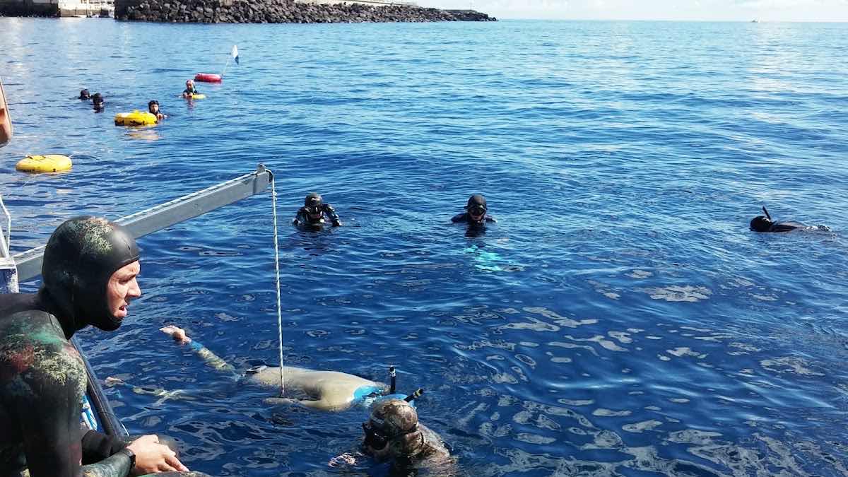 Apnea Canarias Tenerife, Freediving Center photo 2