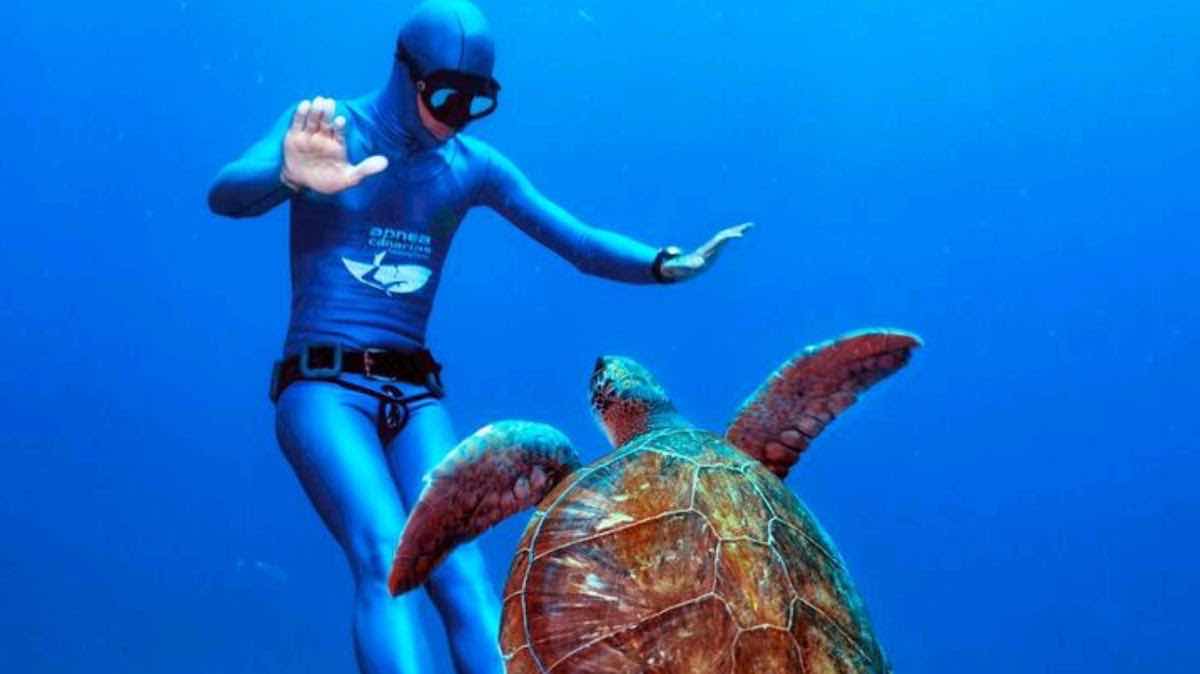 Apnea Canarias Tenerife, Freediving Center photo 8