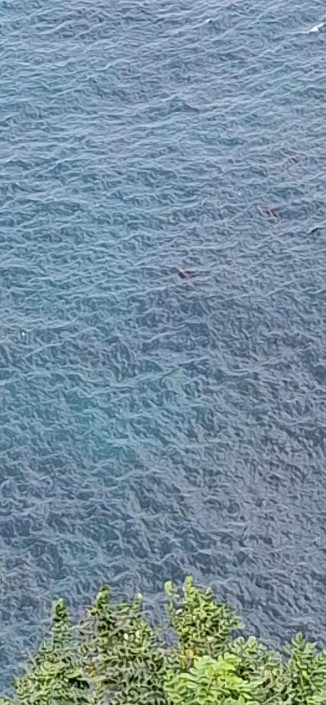 THE MANTA POINT photo 3
