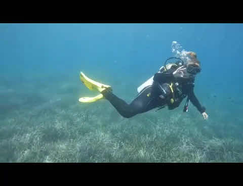 SEA WORLD PADI 5* CDC (CAREER DEVELOPEMENT CENTRE) Centre photo 3