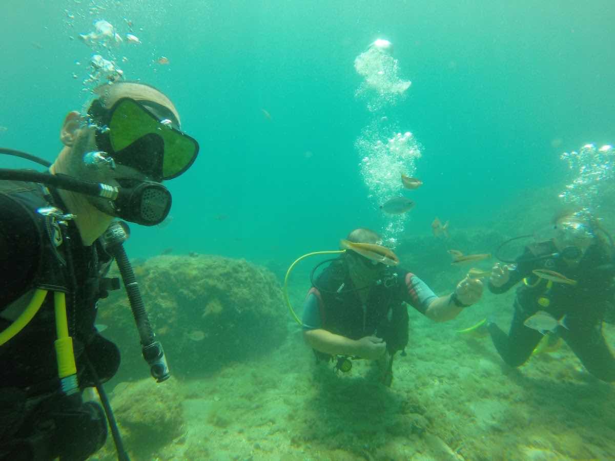SEA WORLD PADI 5* CDC (CAREER DEVELOPEMENT CENTRE) Centre photo 8