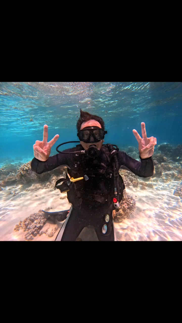 52Hz dive shop photo 3