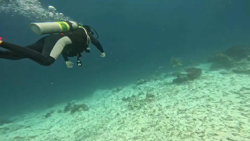 52Hz dive shop photo 4