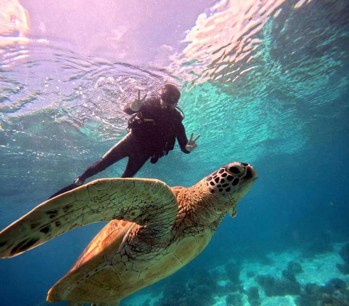 52Hz dive shop photo 10