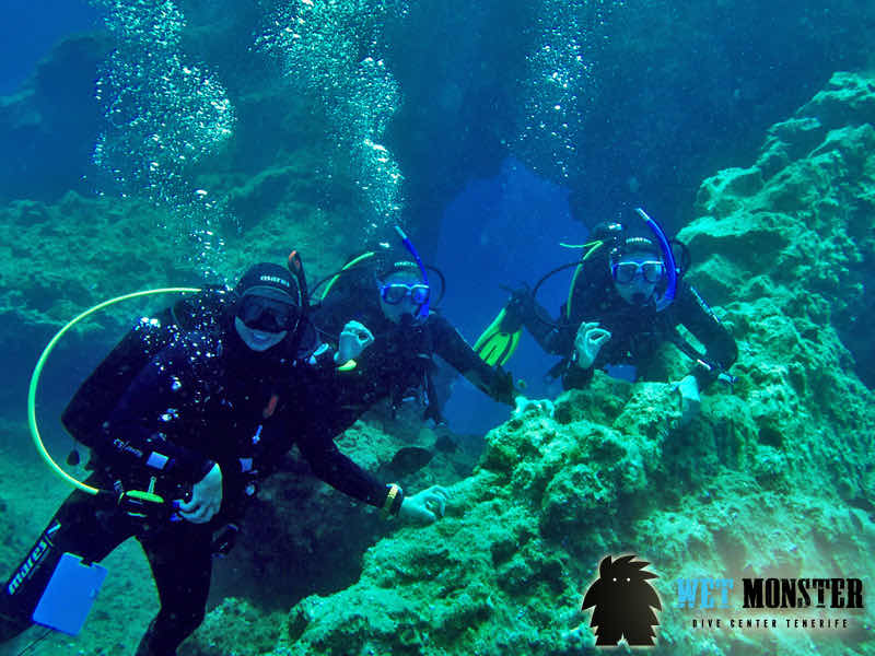 WET MONSTER Dive Center - Polskie Centrum Nurkowe Teneryfa photo 1