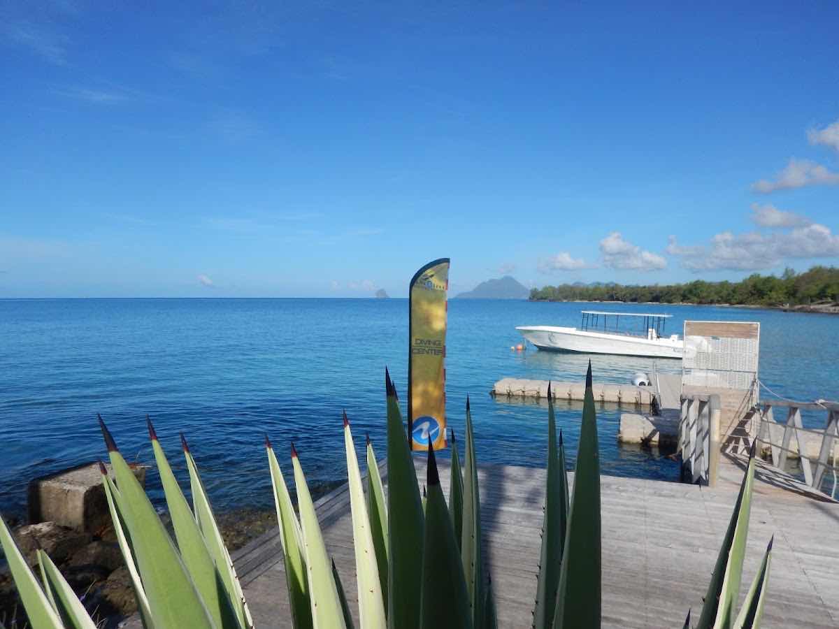 Kariba Plongee photo 2