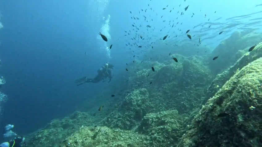 Poseidon Diving Center Ermones photo 3