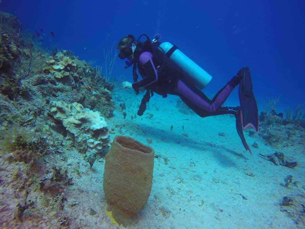 Havana Diving Center photo 1
