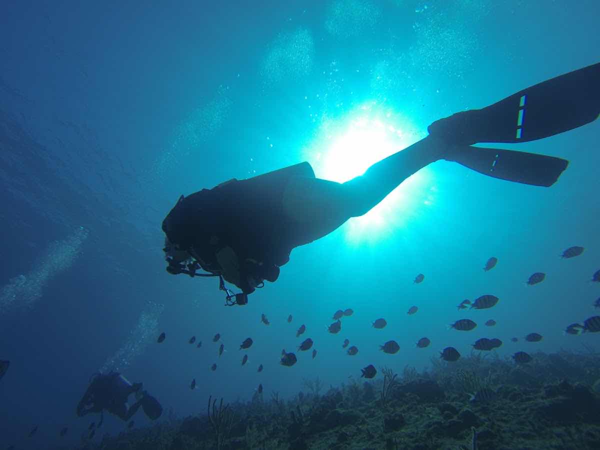 Havana Diving Center photo 2