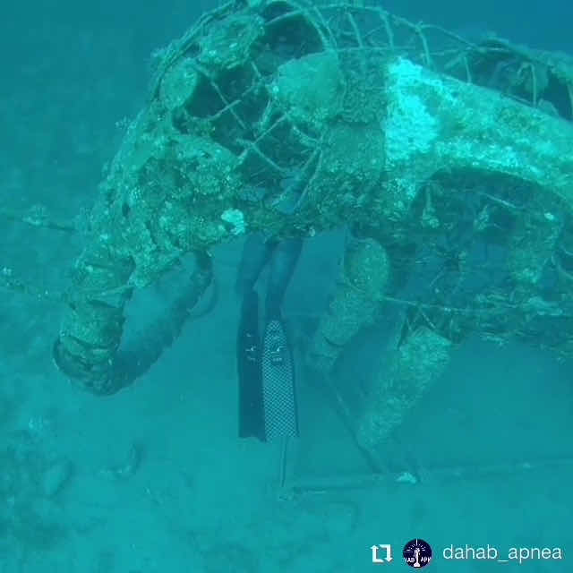Dahab Apnea photo 3