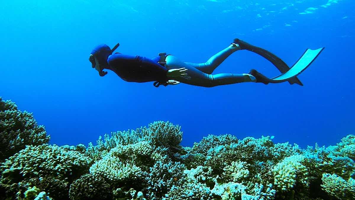 Dahab Apnea photo 8