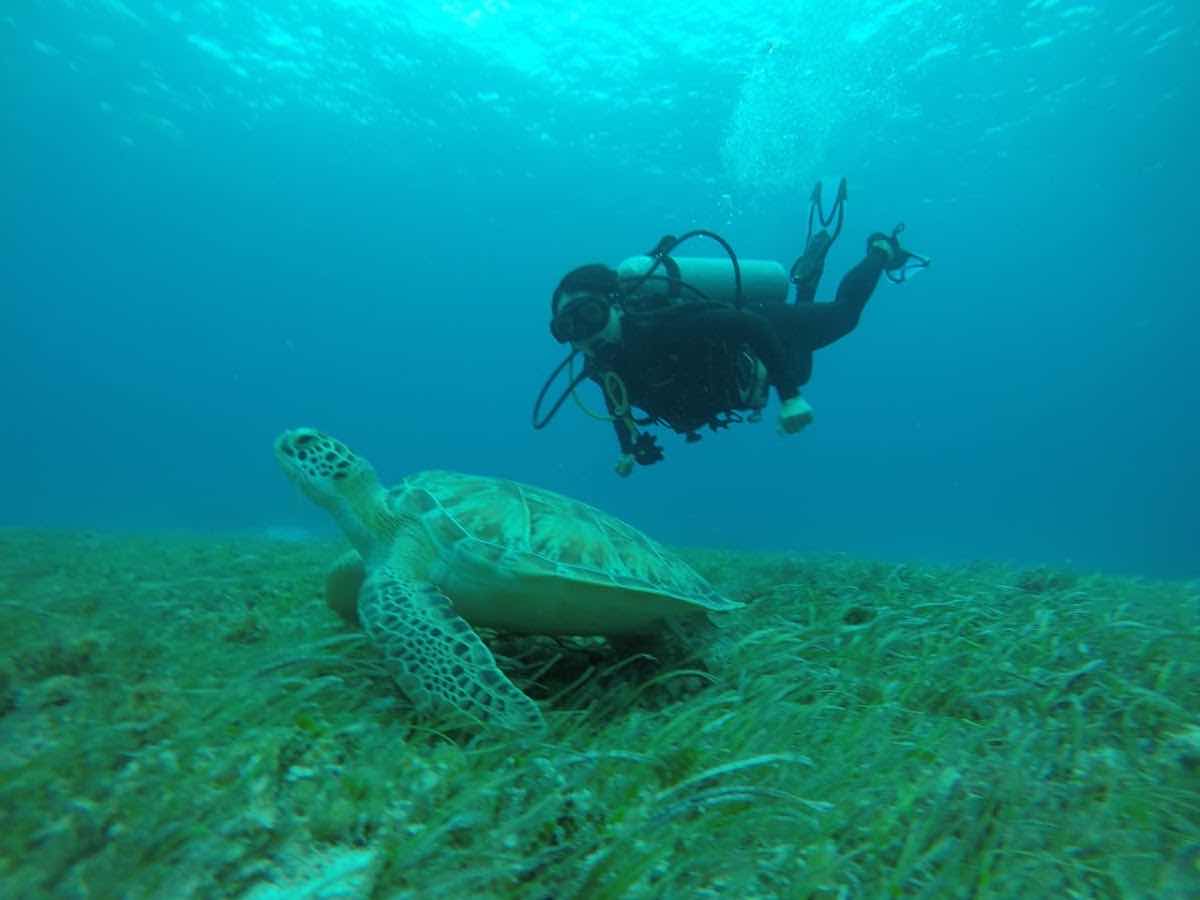 MirkoDiving Cancun | Scuba Diving in Cancun photo 7