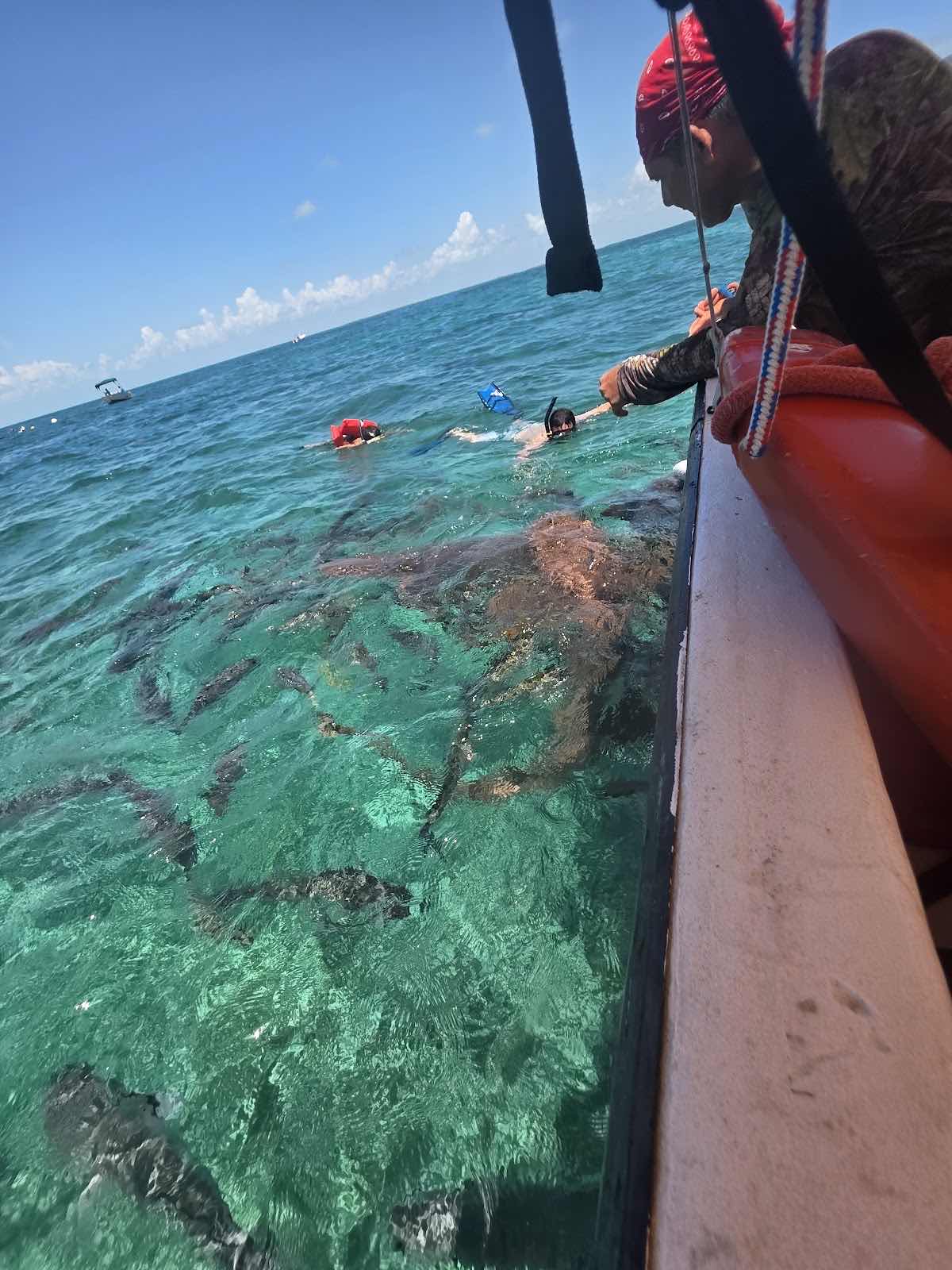 Lil Alphonse Snorkeling photo 1