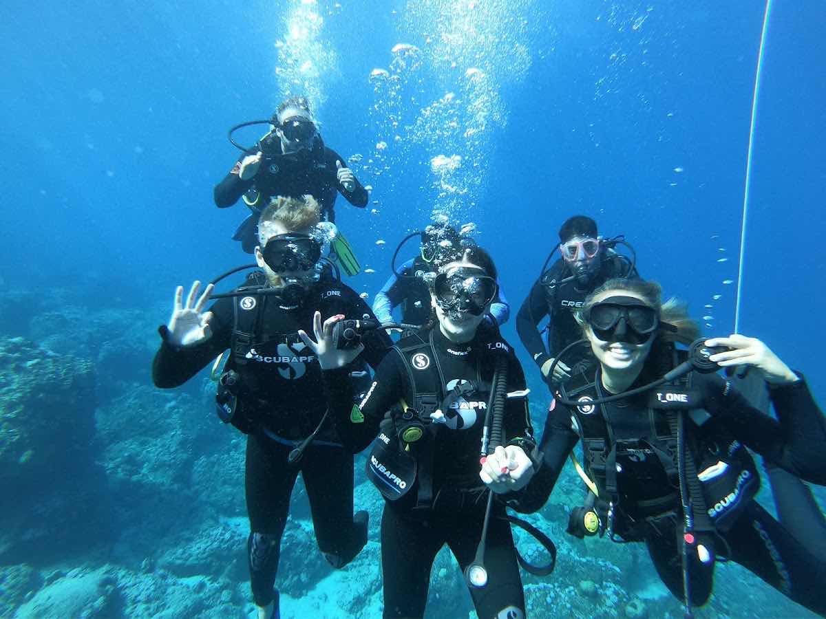 INDIGO DIVERS office photo 5