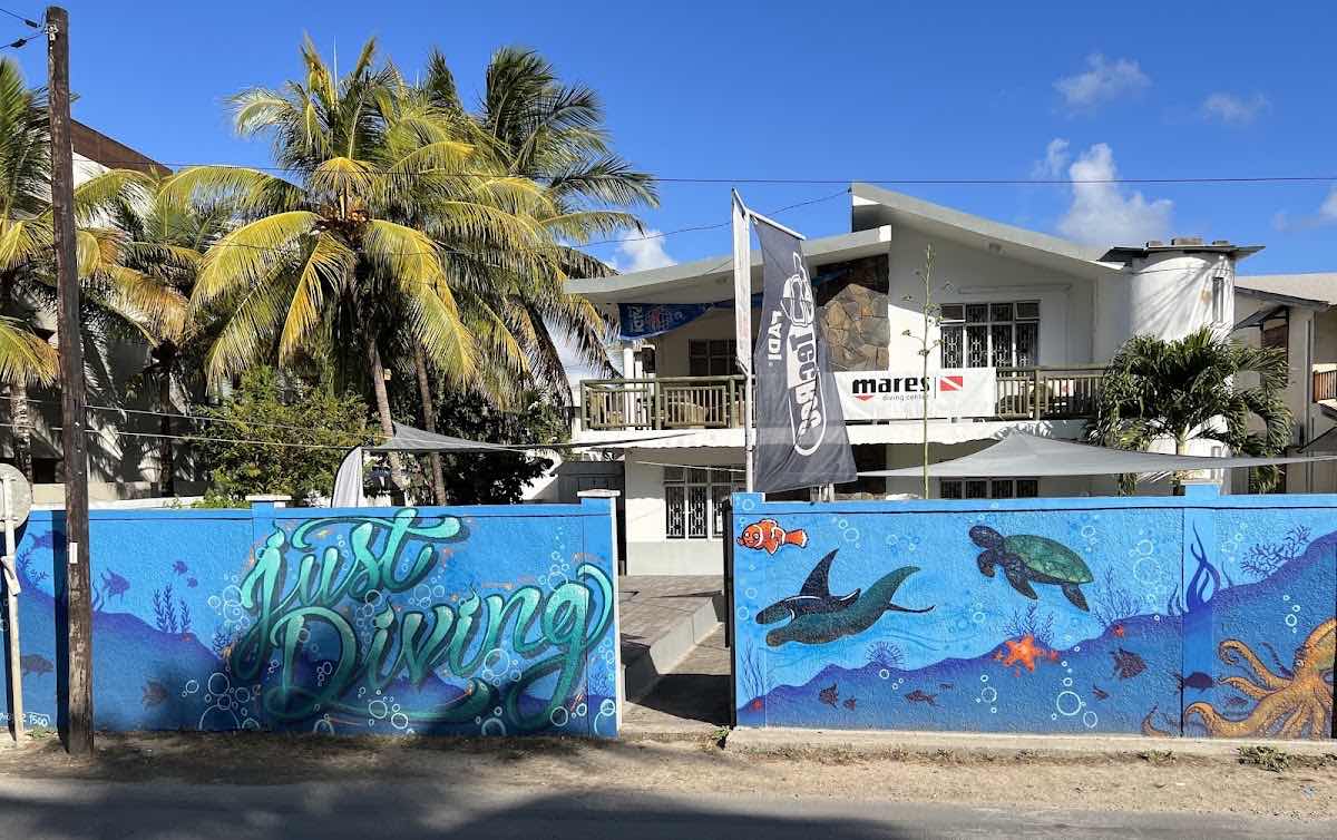 INDIGO DIVERS office photo 6