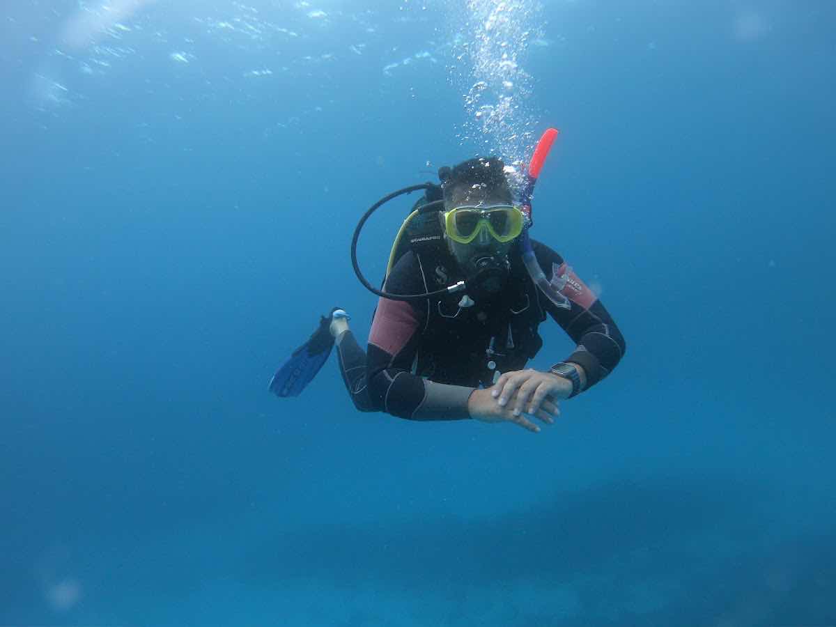 INDIGO DIVERS office photo 7