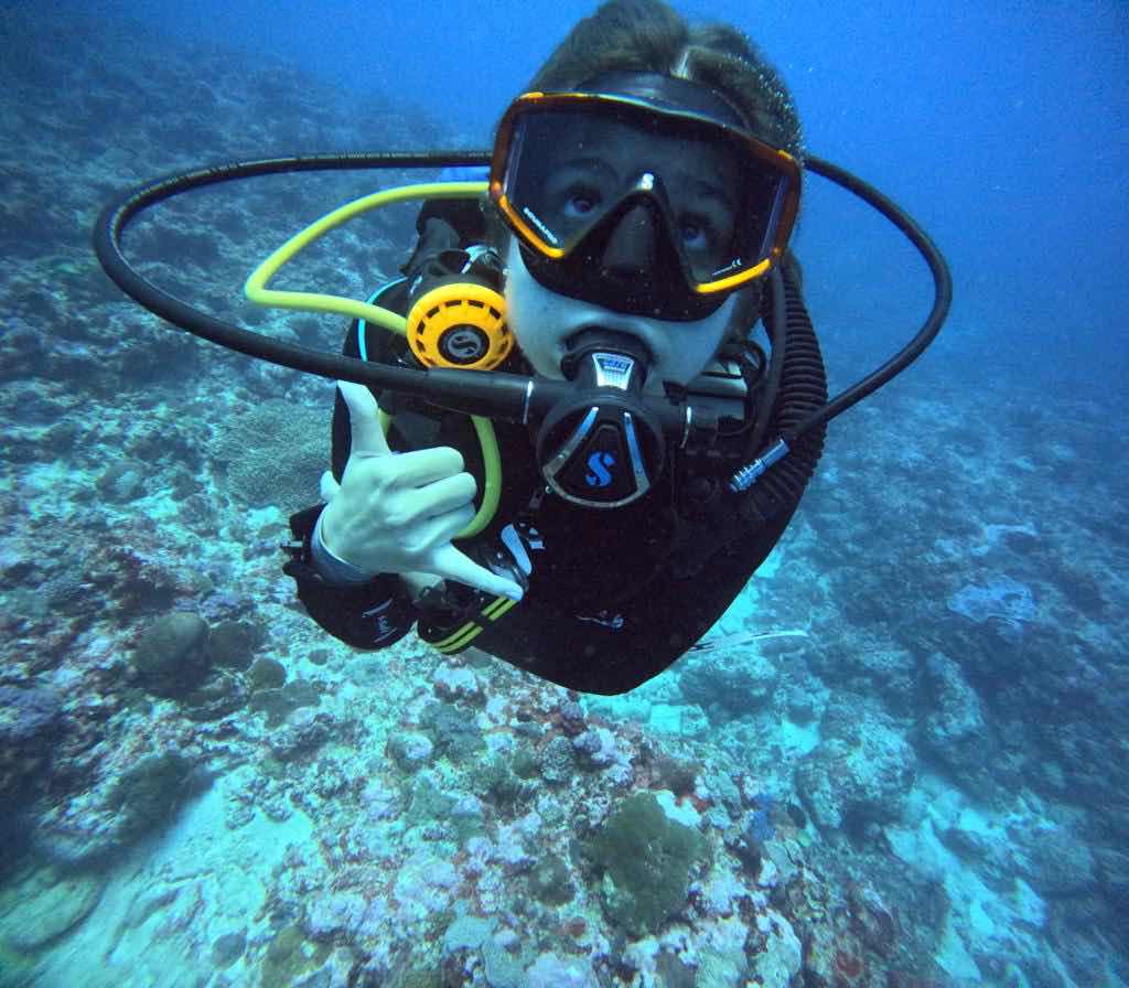 INDIGO DIVERS office photo 9