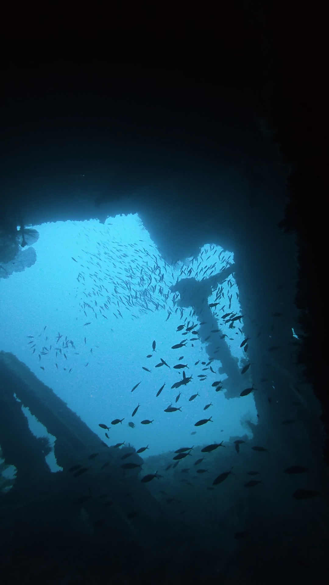 Triton Explorers photo 3