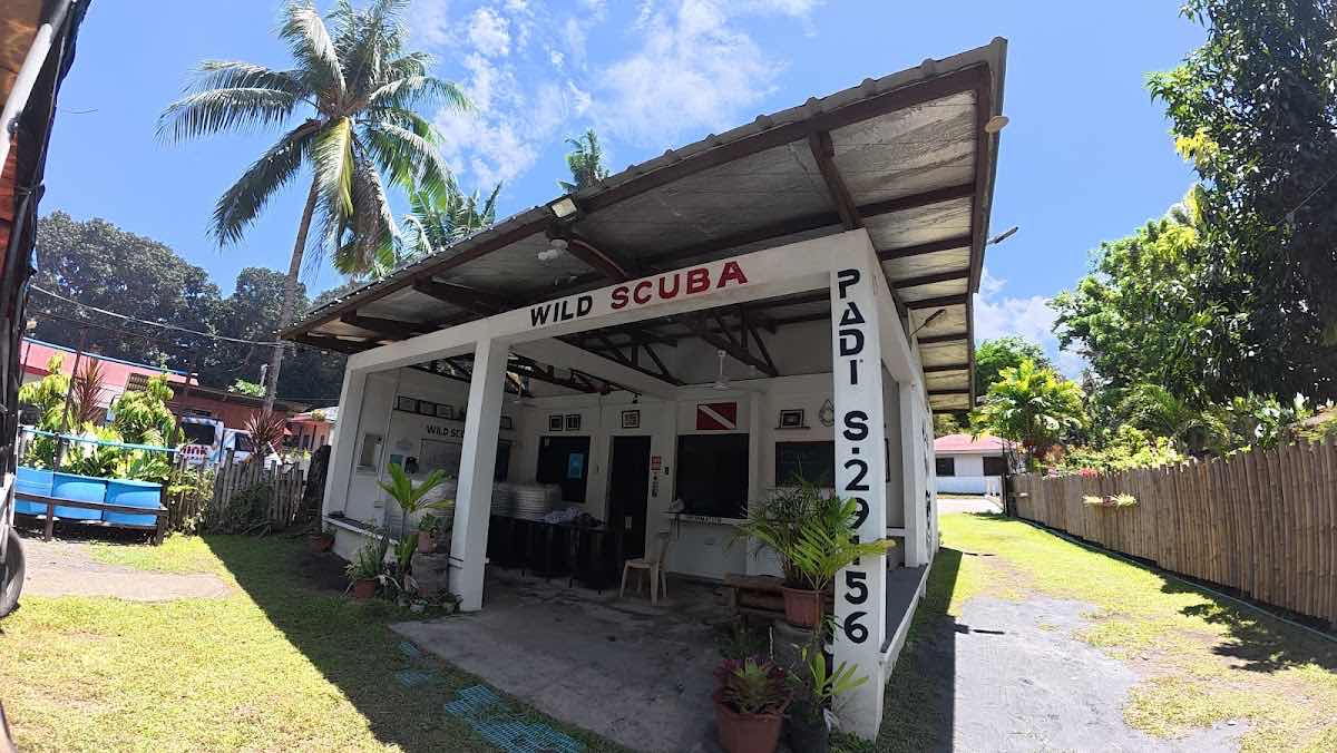 Wild Scuba Dumaguete photo 1