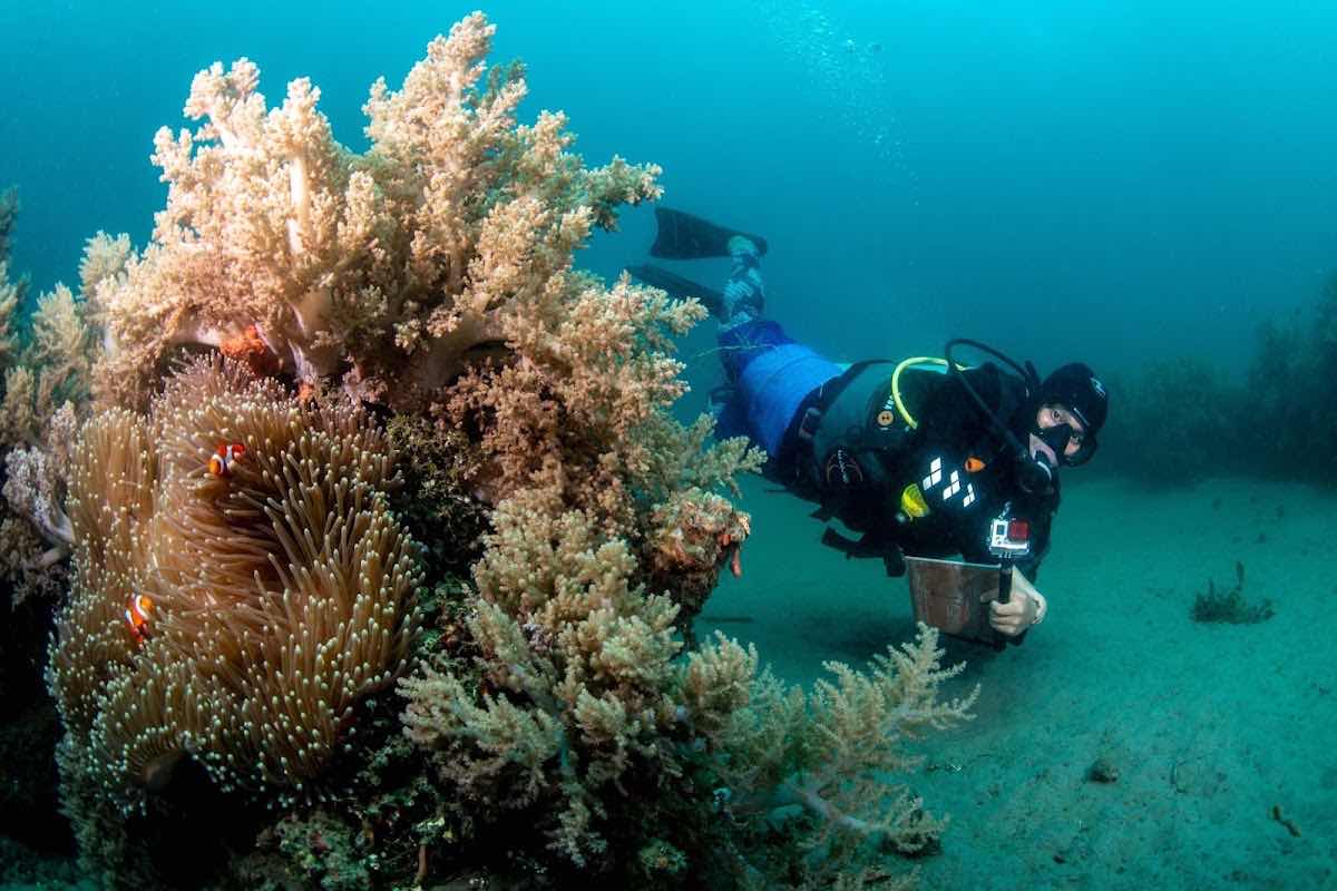 Wild Scuba Dumaguete photo 4