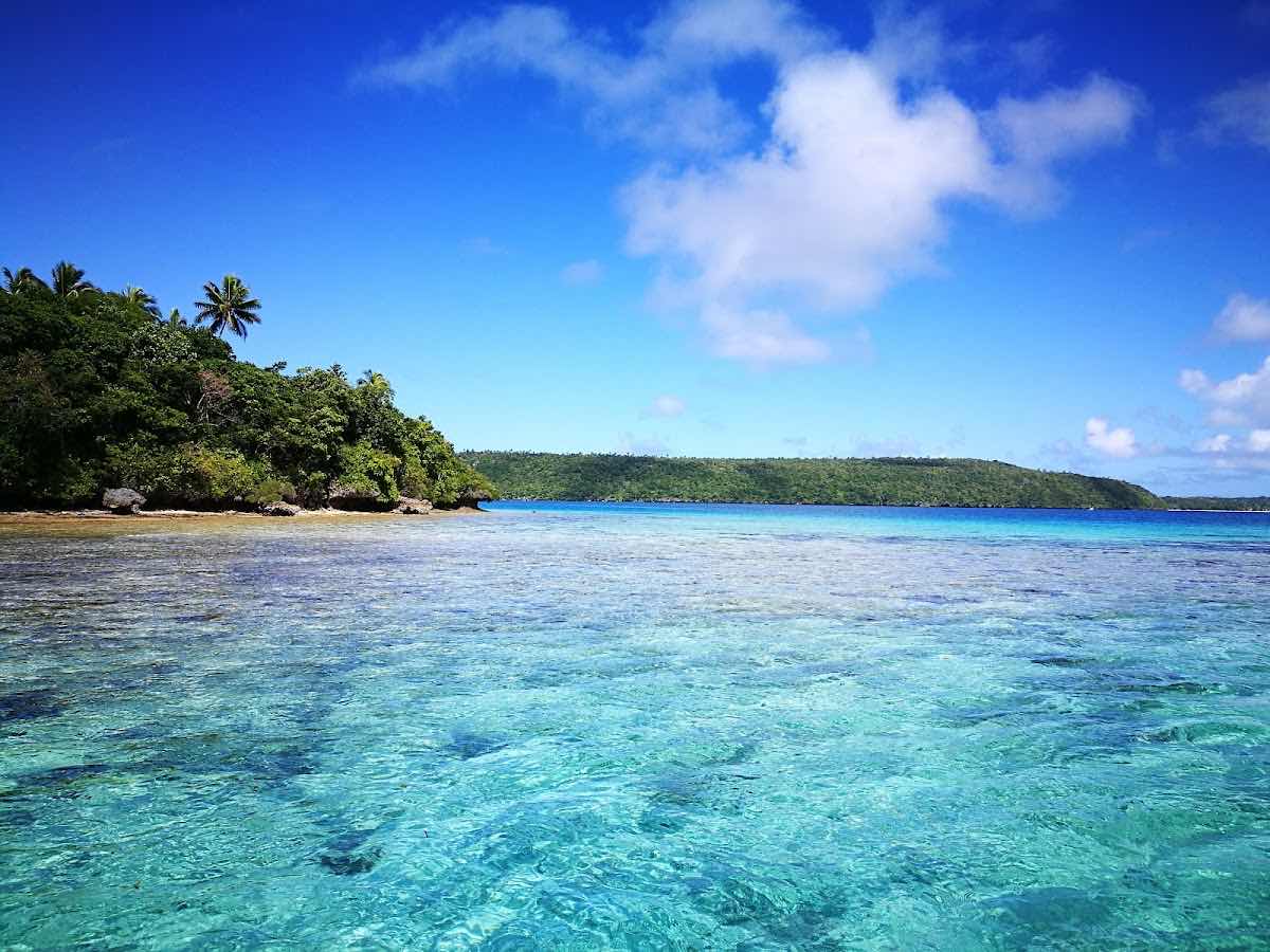 Dive Tonga photo 8