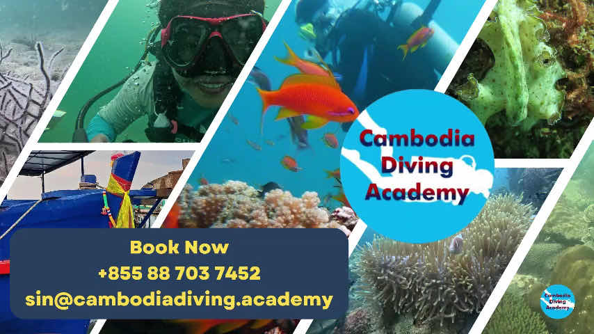 Cambodia Diving Academy photo 4