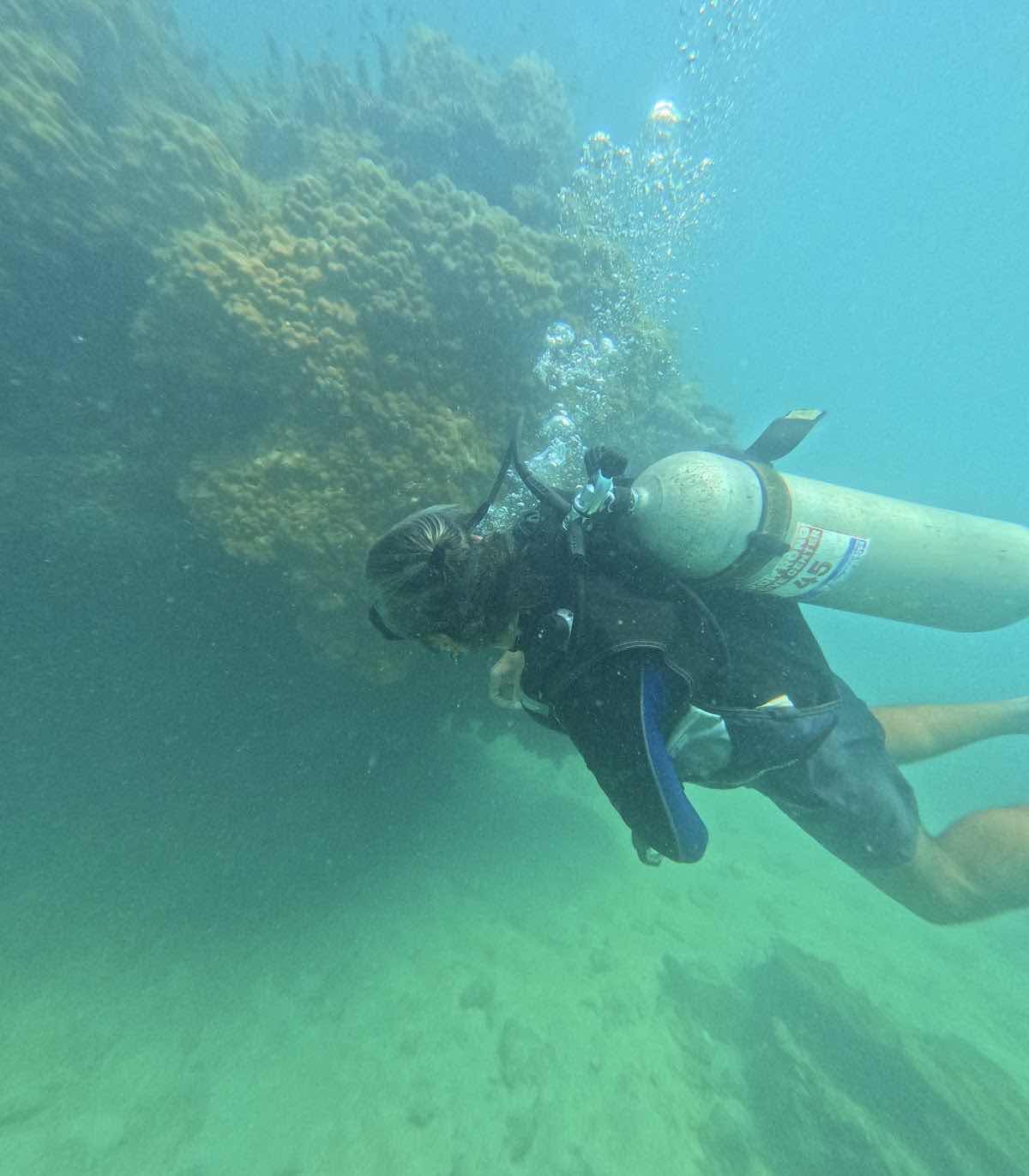 Cambodia Diving Academy photo 6